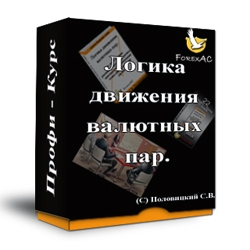 Логика движения валютных пар - Половицкий (2014)_0.jpg